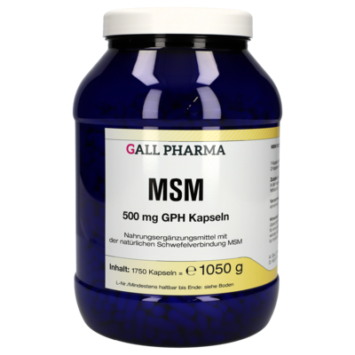 MSM 500 mg GPH Kapseln